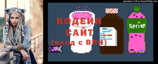 крисы Костерёво