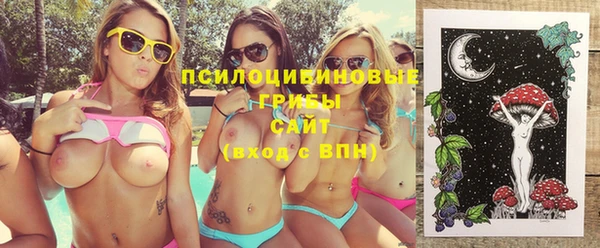 крисы Костерёво