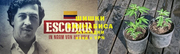 крисы Костерёво