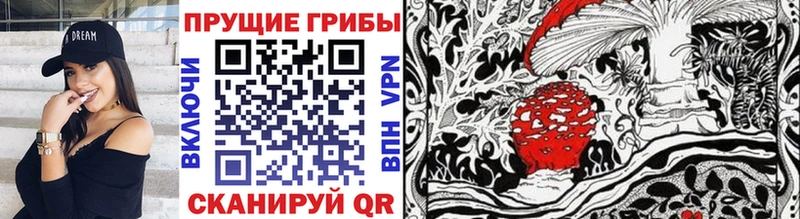 Купить  Ногинск  Галлюциногенные грибы прущие грибы 